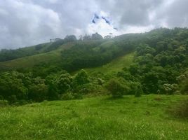  Land for sale in Aguirre, Puntarenas, Aguirre