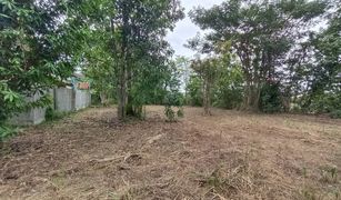 N/A Land for sale in San Phak Wan, Chiang Mai 