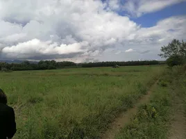  Grundstück zu verkaufen in Song, Phrae, Huai Mai