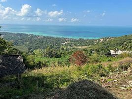  Grundstück zu verkaufen in Koh Samui, Surat Thani, Ang Thong