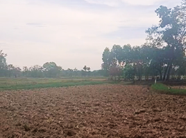  Grundstück zu verkaufen in Pak Thong Chai, Nakhon Ratchasima, Takhu, Pak Thong Chai