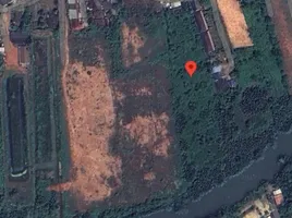  Land for sale in Surat Thani, Makham Tia, Mueang Surat Thani, Surat Thani