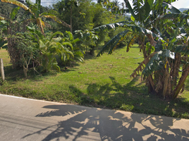  Grundstück zu verkaufen in Ko Pha-Ngan, Surat Thani, Ban Tai, Ko Pha-Ngan