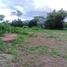  Land for sale in Tha Thung Luang, Mae Tha, Tha Thung Luang