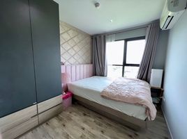 1 Schlafzimmer Wohnung zu verkaufen im Aspen Condo Lasalle, Bang Na, Bang Na