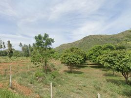  Land for sale in Pak Nam Pran, Pran Buri, Pak Nam Pran