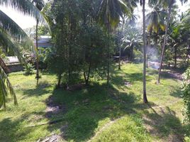  Land for sale in Lipa Noi, Koh Samui, Lipa Noi