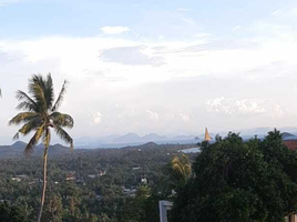  Grundstück zu verkaufen in Koh Samui, Surat Thani, Ang Thong, Koh Samui