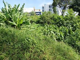 ขายที่ดิน ใน ถลาง ภูเก็ต, เชิงทะเล, ถลาง, ภูเก็ต