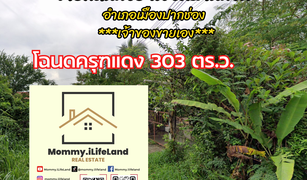 Pak Chong, Nakhon Ratchasima တွင် N/A မြေ ရောင်းရန်အတွက်