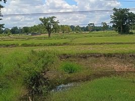  Grundstück zu verkaufen in Chakkarat, Nakhon Ratchasima, Si Lako, Chakkarat