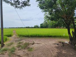 Grundstück zu verkaufen in Sena, Phra Nakhon Si Ayutthaya, Sam Ko