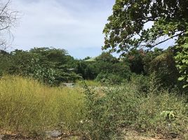  Land for sale in Samet, Mueang Chon Buri, Samet