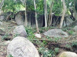  Grundstück zu verkaufen in Ko Pha-Ngan, Surat Thani, Ko Tao, Ko Pha-Ngan