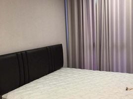 คอนโด สตูดิโอ ให้เช่า ในโครงการ พลัมคอนโด ปิ่นเกล้า สเตชั่น, บางยี่ขัน