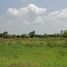  Land for sale in Wihan Daeng, Saraburi, Nong Mu, Wihan Daeng