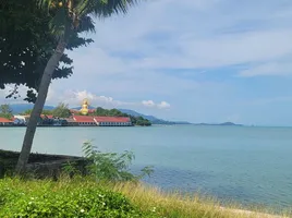  Grundstück zu verkaufen in Koh Samui, Surat Thani, Bo Phut