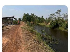  Land for sale in Non Sung, Yang Talat, Non Sung