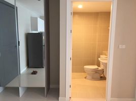 2 Schlafzimmer Wohnung zu vermieten im Elements Srinakarin, Nong Bon, Prawet