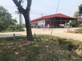  Grundstück zu verkaufen in Doi Saket, Chiang Mai, San Pu Loei