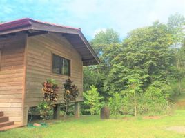 3 Schlafzimmer Haus zu verkaufen im Ojochal, Osa, Puntarenas, Costa Rica