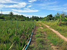  Grundstück zu verkaufen in Hua Hin, Prachuap Khiri Khan, Thap Tai