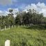  Land for sale in Si Sunthon, Phuket, Si Sunthon, Thalang, Phuket