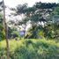  Land for sale in Hankha, Chai Nat, Wang Kai Thuean, Hankha