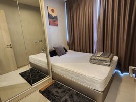 2 Schlafzimmer Wohnung zu vermieten im Rhythm Sukhumvit 42, Phra Khanong