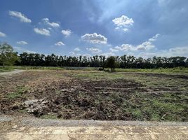  Land for sale in Khlong Luang, Pathum Thani, Khlong Sam, Khlong Luang