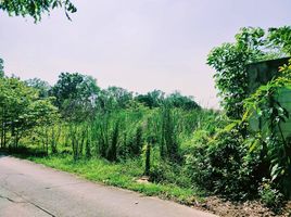  Land for sale in Bang Kruai, Nonthaburi, Bang Khu Wiang, Bang Kruai