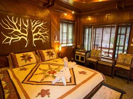 16 Bedroom Hotel for sale in AsiaVillas, San Pa Pao, San Sai, Chiang Mai, Thailand