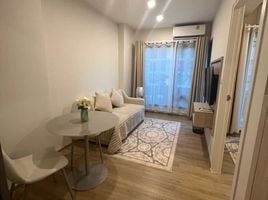 1 Bedroom Condo for rent at Phyll Phuket by Central Pattana, Wichit, Phuket Town, Phuket, Thailand