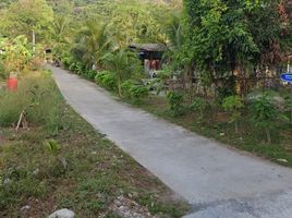  Land for sale in Phuket, Sakhu, Thalang, Phuket