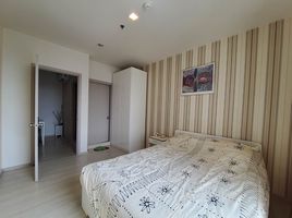 1 Schlafzimmer Wohnung zu vermieten im Life Sukhumvit 48, Phra Khanong, Khlong Toei, Bangkok