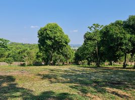  Land for sale in Huai Sak, Mueang Chiang Rai, Huai Sak