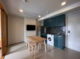 คอนโด 1 ห้องนอน ให้เช่า ในโครงการ The BASE Sukhumvit 50, พระโขนง
