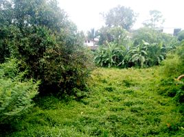  Land for sale in Villa Market - Laguna, Choeng Thale, Choeng Thale