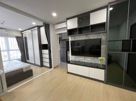 1 Schlafzimmer Appartement zu vermieten im Supalai Veranda Ramkhamhaeng, Hua Mak
