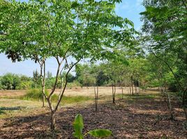  Grundstück zu verkaufen in Nong Khae, Saraburi, Nong Rong, Nong Khae, Saraburi