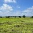  Land for sale in Acara, Para, Acara