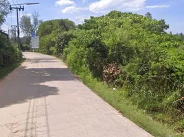  Land for sale in Choeng Thale, Thalang, Choeng Thale