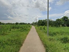  Grundstück zu verkaufen in Phanat Nikhom, Chon Buri, Mon Nang, Phanat Nikhom