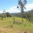  Land for sale in Sesquile, Cundinamarca, Sesquile