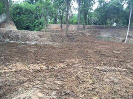  Land for sale in Chiang Mai, Nam Phrae, Hang Dong, Chiang Mai