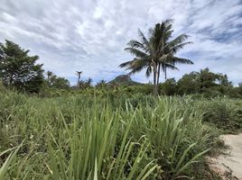  Land for sale in Hua Hin Safari & Adventure Park, Thap Tai, Thap Tai