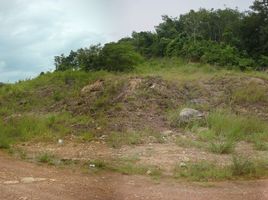  Grundstück zu verkaufen in Ko Lanta, Krabi, Sala Dan, Ko Lanta
