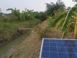  Grundstück zu verkaufen in Nong Saeng, Saraburi, Kai Sao, Nong Saeng, Saraburi