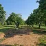  Land for sale in Chiang Rai, Huai Sak, Mueang Chiang Rai, Chiang Rai