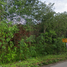  Land for sale in Hat Phan Krai, Mueang Chumphon, Hat Phan Krai